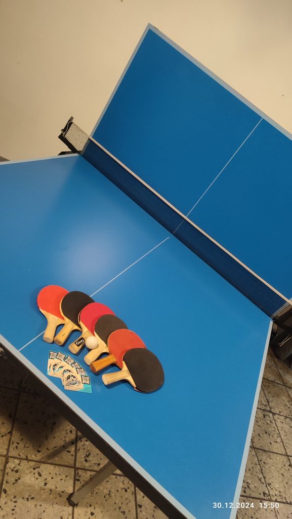 Profi Tischtennisplatte